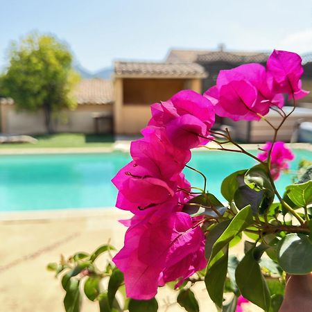 2 Hebergements - 10 Couchages - Parking, Piscine, Jacuzzi - Convivialite Roquebrune-sur-Argens Buitenkant foto