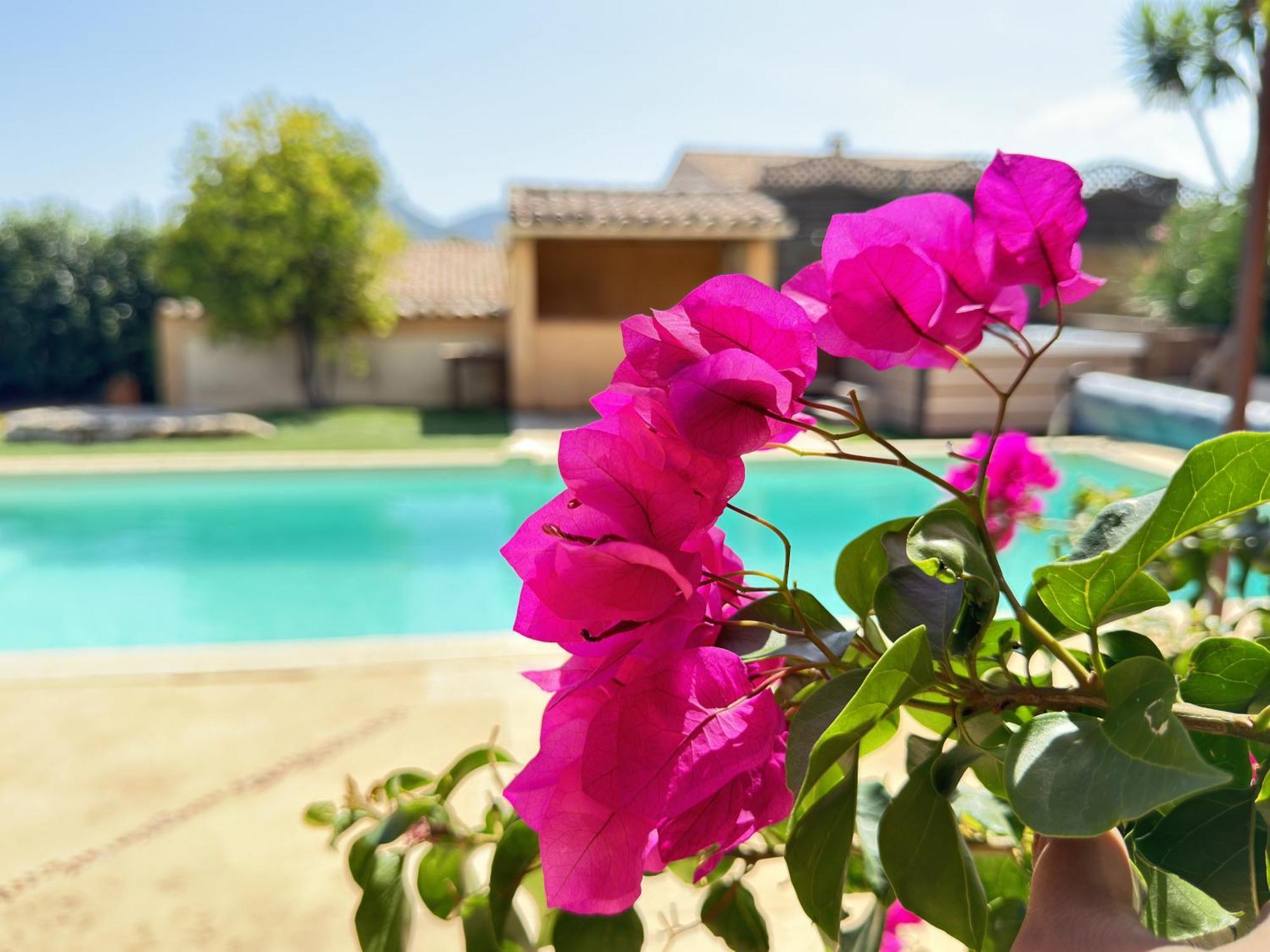 2 Hebergements - 10 Couchages - Parking, Piscine, Jacuzzi - Convivialite Roquebrune-sur-Argens Buitenkant foto