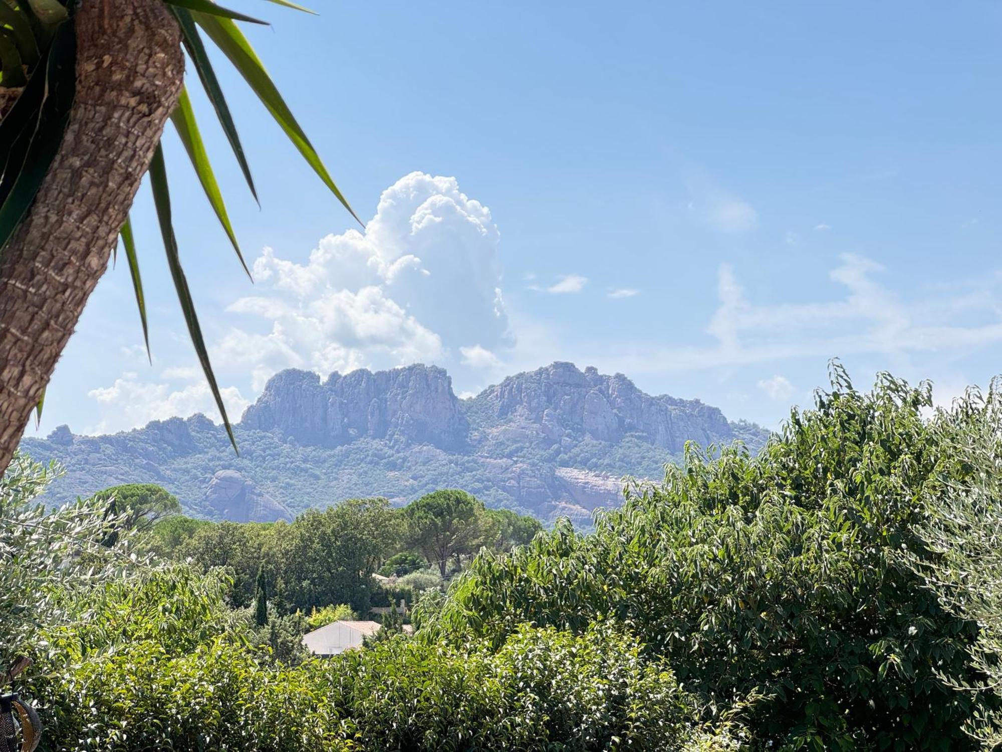 2 Hebergements - 10 Couchages - Parking, Piscine, Jacuzzi - Convivialite Roquebrune-sur-Argens Buitenkant foto